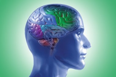 Pregunte al médico imagen de artículo 3 de health news - primavera de 2016